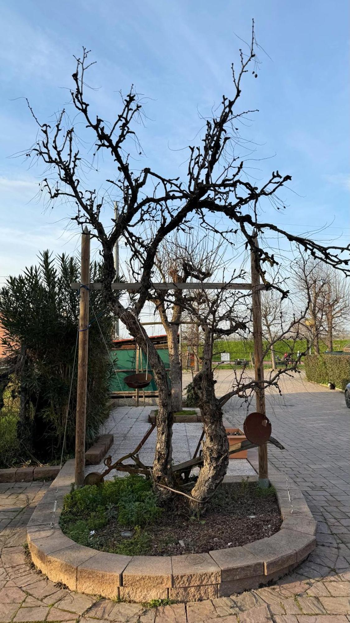 La Busa Camere E Trattoria Ponte San Nicolo ภายนอก รูปภาพ